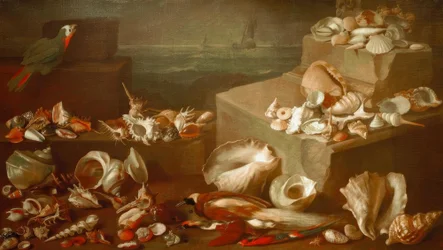 Stillleben mit Schnecken und Muscheln